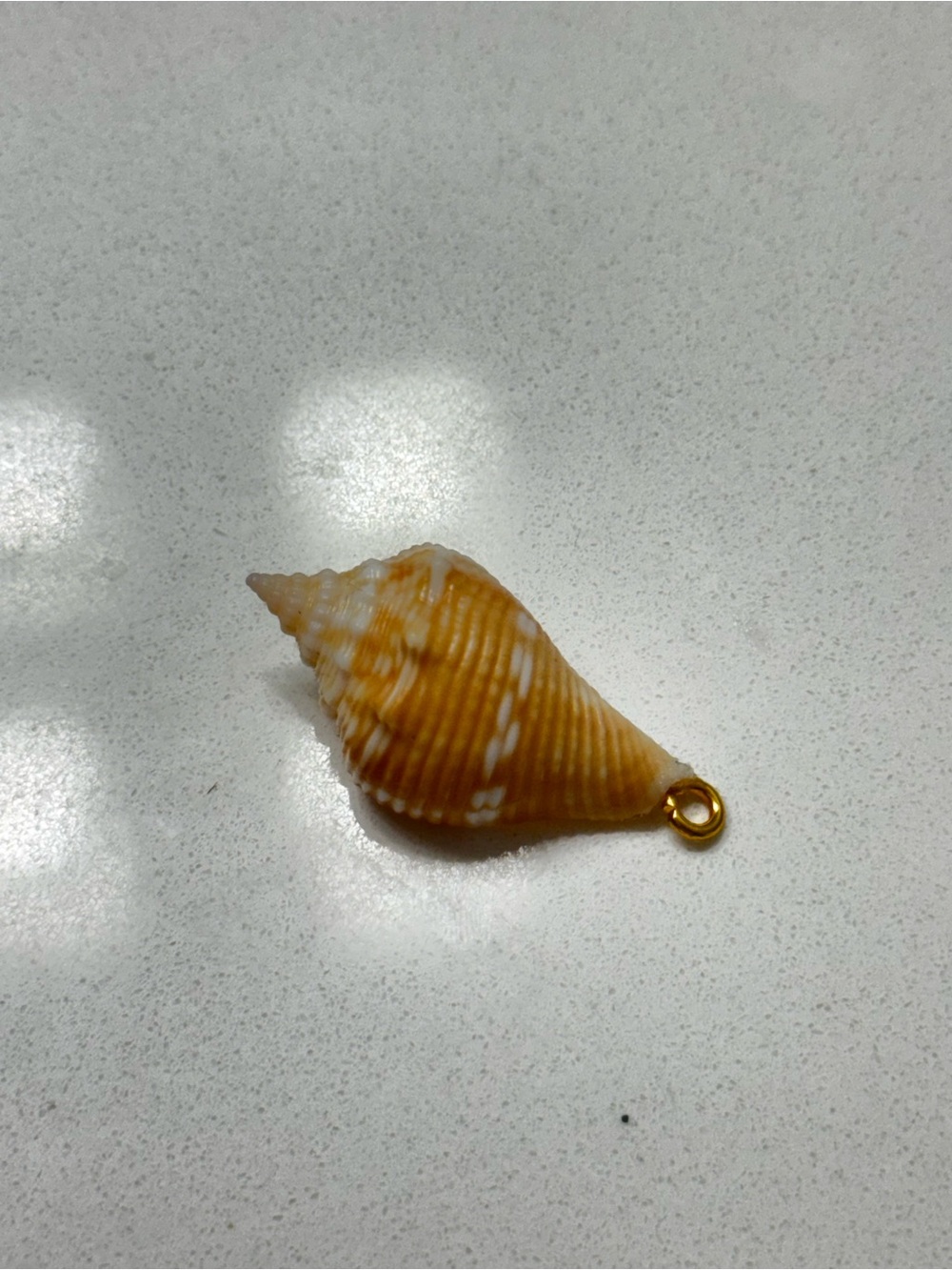 Florida Fighting Conch Seashell Pendant Charm in Golden Brown and White